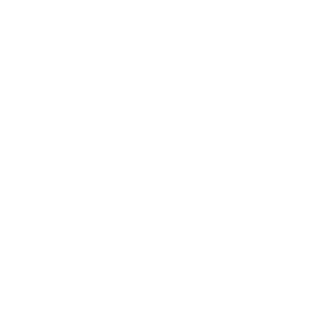 Local_UnitedWay_Brevard_wht